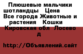 Плюшевые мальчики шотландцы › Цена ­ 500 - Все города Животные и растения » Кошки   . Кировская обл.,Лосево д.